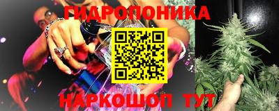 круглые Будённовск