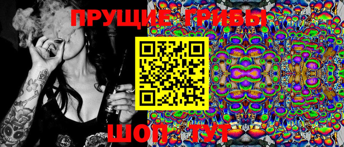 Миасс  Галлюциногенные грибы Psilocybine cubensis  Вход с VPN 